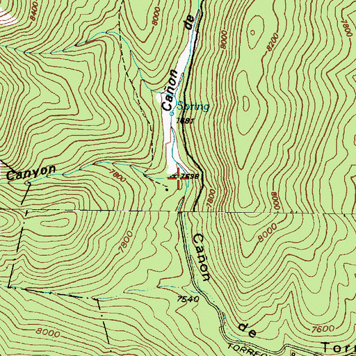 Topographic Map of Diablo Canyon, NM