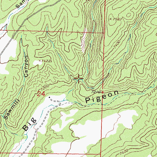 Topographic Map of Dodson Canyon, NM