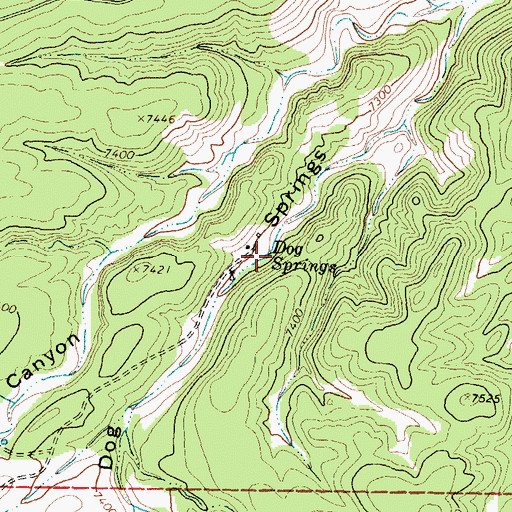 Topographic Map of Dog Springs, NM
