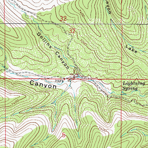Topographic Map of Dollins Canyon, NM