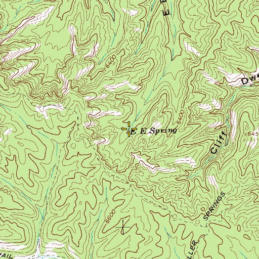 Topographic Map of E E Spring, NM
