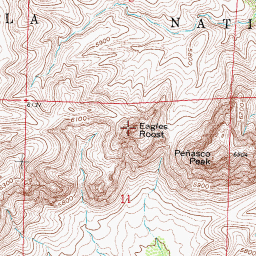 Topographic Map of Eagles Roost, NM