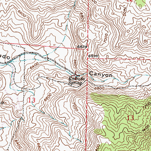 Topographic Map of Embudo Spring, NM