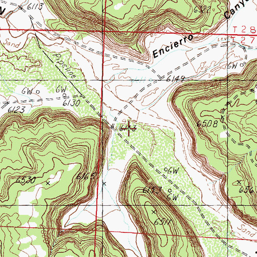 Topographic Map of Encierro Canyon, NM