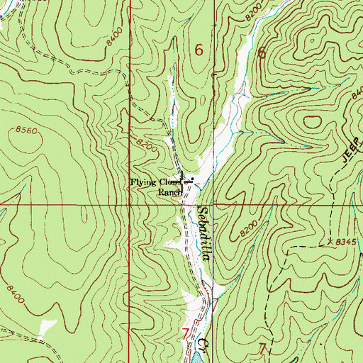 Topographic Map of Flying Cloud Ranch, NM