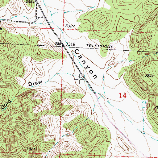 Topographic Map of Fools Gold Draw, NM
