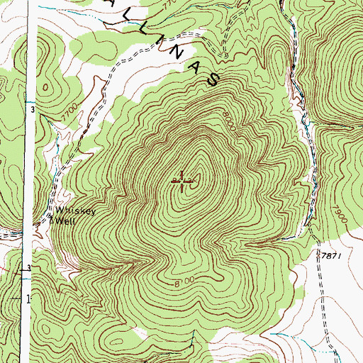Topographic Map of Gallinas Mountains, NM