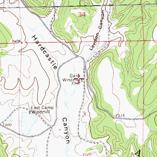 Topographic Map of Gann Windmill, NM
