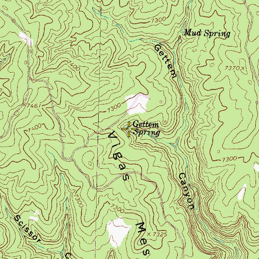 Topographic Map of Gettem Spring, NM