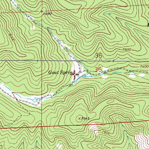 Topographic Map of Goat Spring, NM