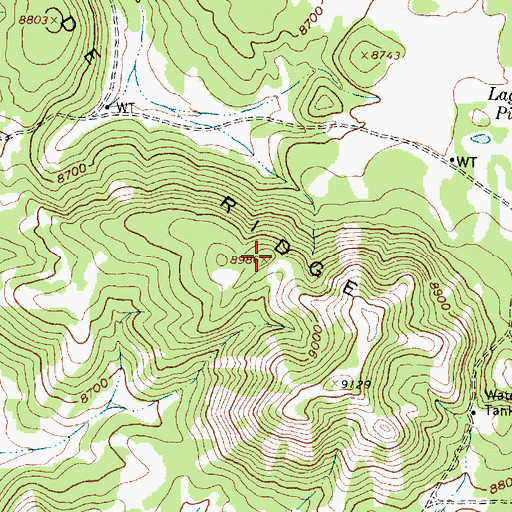 Topographic Map of Grande Ridge, NM