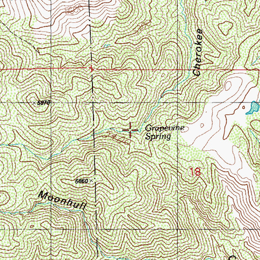 Topographic Map of Grapevine Spring, NM