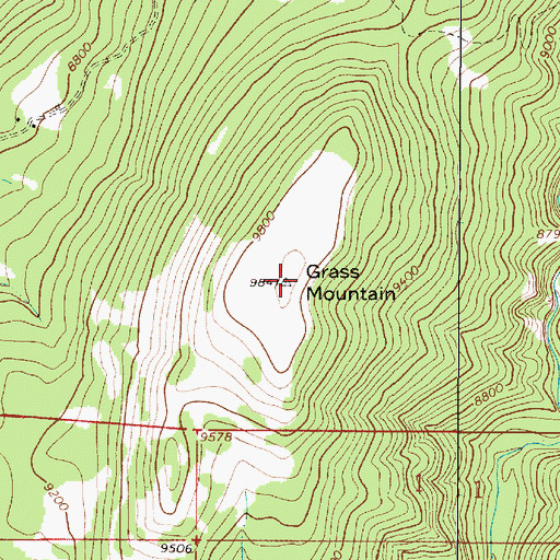 Topographic Map of Grass Mountain, NM