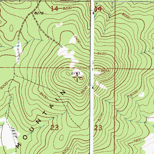 Topographic Map of Guadalupe Mountain, NM