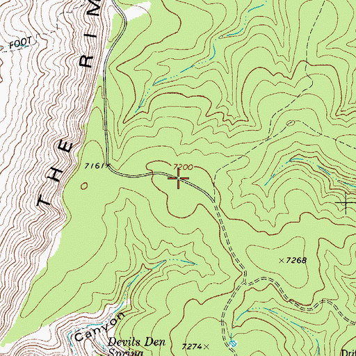 Topographic Map of Guadalupe Ridge, NM