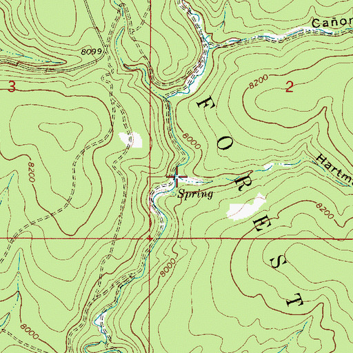 Topographic Map of Hartman Canyon, NM