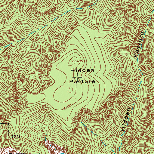 Topographic Map of Hidden Pasture, NM