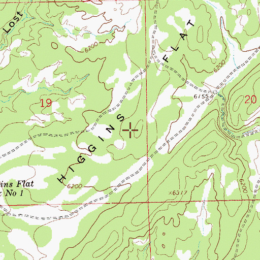Topographic Map of Higgins Flat, NM