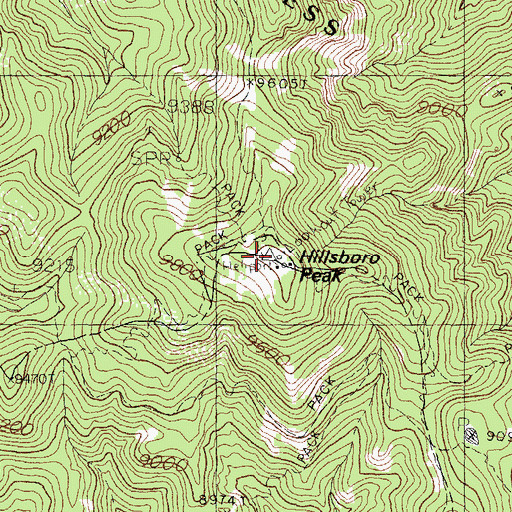 Topographic Map of Hillsboro, NM