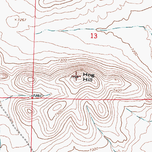 Topographic Map of Hog Hill, NM