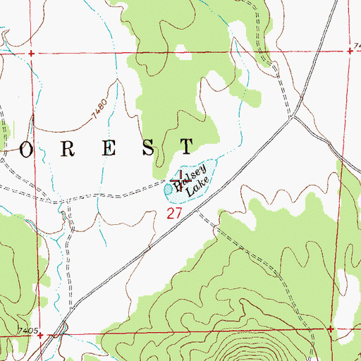 Topographic Map of Hulsey Lake, NM