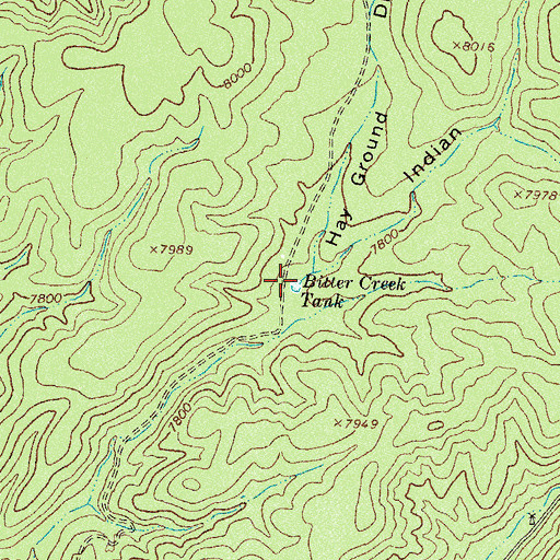 Topographic Map of Indian Canyon, NM