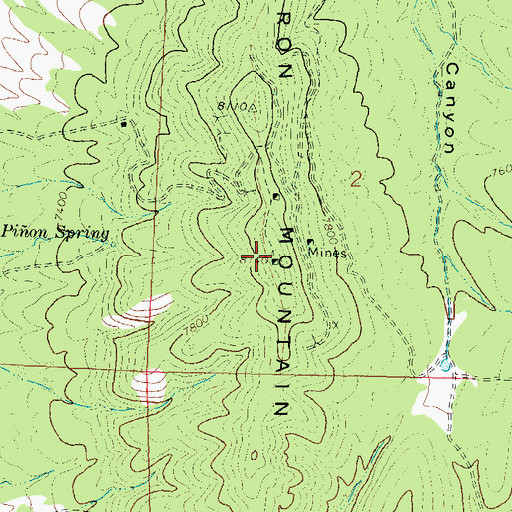 Topographic Map of Iron Mountain, NM