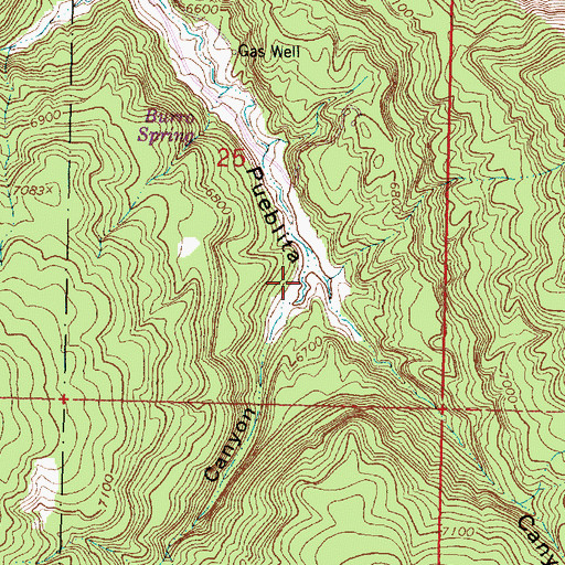 Topographic Map of Jog Canyon, NM