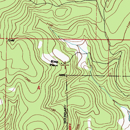 Topographic Map of King Place, NM