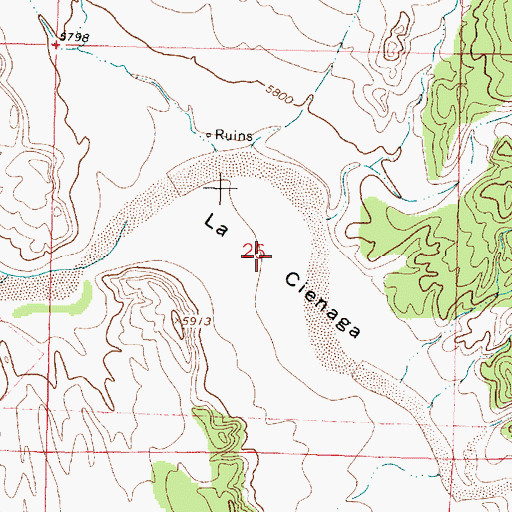 Topographic Map of La Cienaga, NM