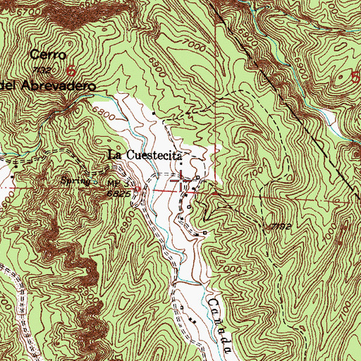 Topographic Map of La Cuestecita, NM
