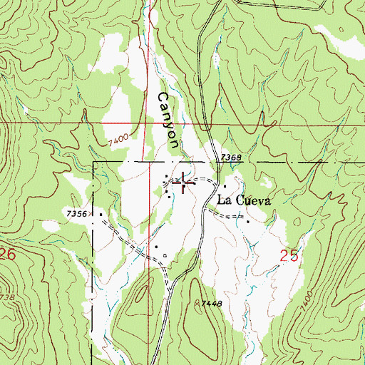 Topographic Map of La Cueva, NM