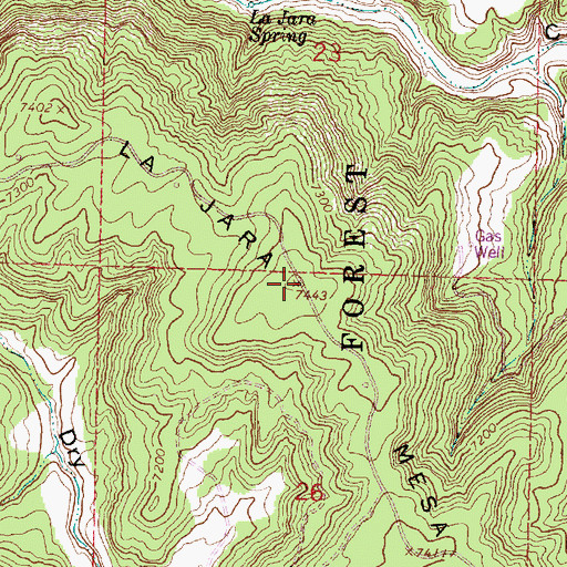 Topographic Map of La Jara Mesa, NM