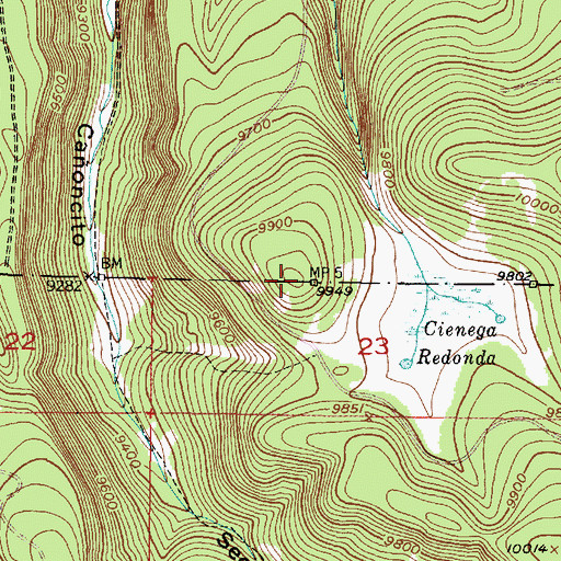 Topographic Map of La Mesa del Pedregosa, NM