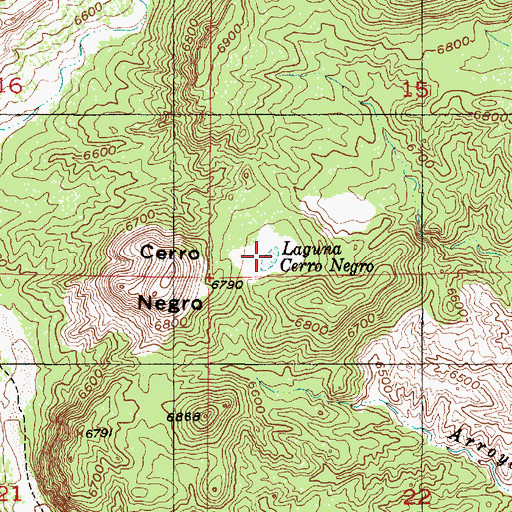Topographic Map of Laguna Cerro Negro, NM