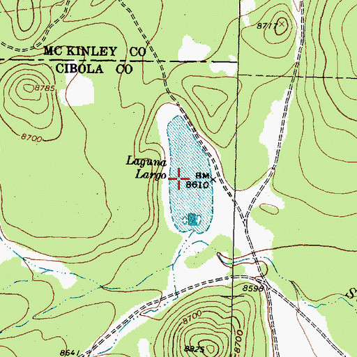 Topographic Map of Laguna Largo, NM