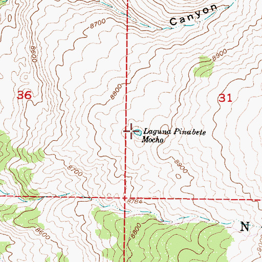Topographic Map of Laguna Pinabete Mocho, NM