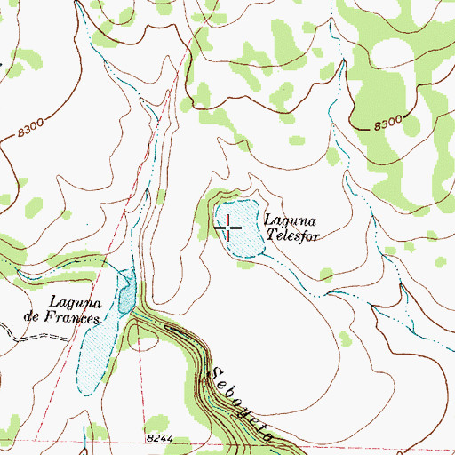 Topographic Map of Laguna Telesfor, NM