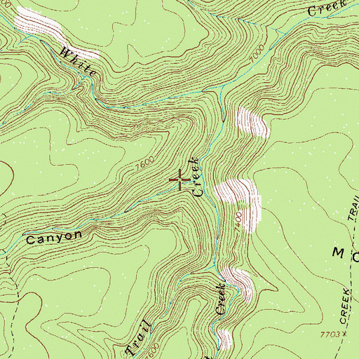 Topographic Map of Langstroth Canyon, NM