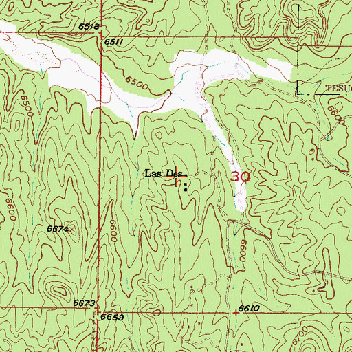 Topographic Map of Las Dos, NM