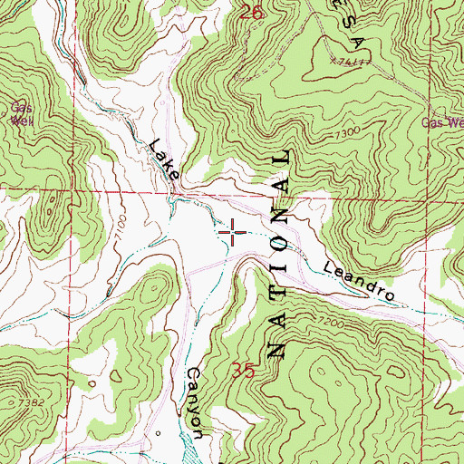 Topographic Map of Leandro Canyon, NM