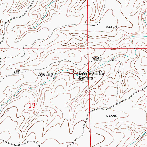 Topographic Map of Lechuguilla Spring, NM