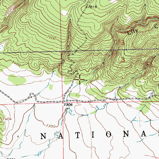 Topographic Map of Lily Canyon, NM