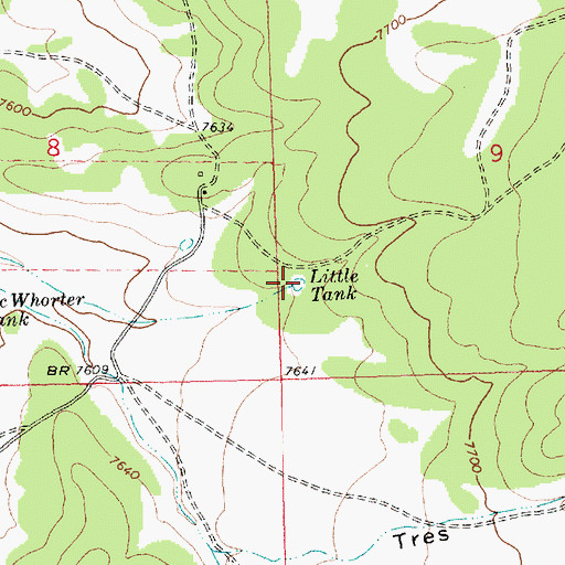 Topographic Map of Little Tank, NM