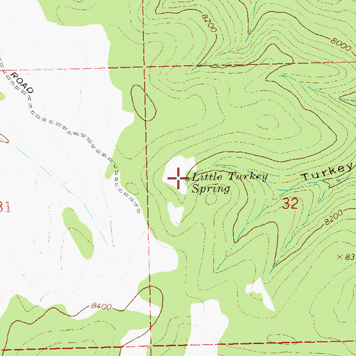 Topographic Map of Little Turkey Spring, NM