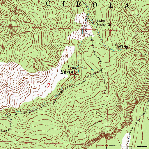 Topographic Map of Lobo Springs, NM