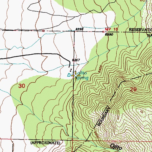 Topographic Map of Lolito Spring, NM