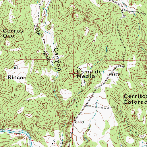 Topographic Map of Loma del Medio, NM