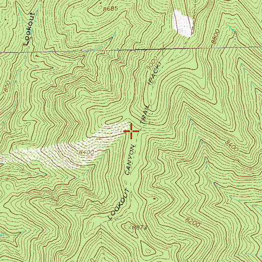 Topographic Map of Lookout Canyon Trail, NM