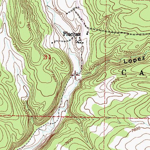 Topographic Map of Lopez Canyon, NM
